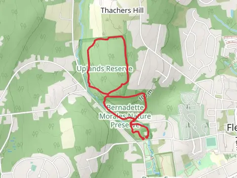 Walnut Brook Loop