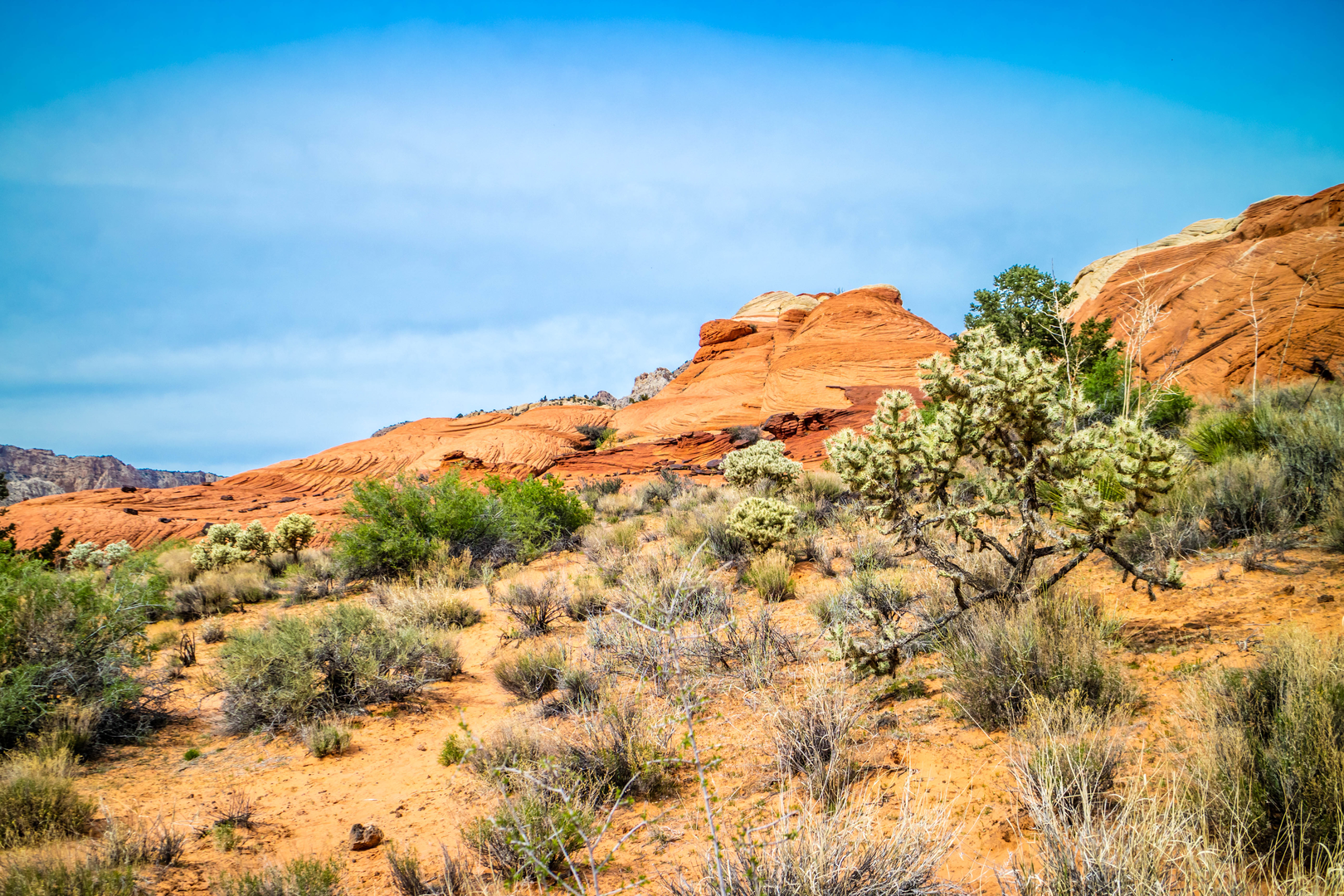 An image depicting the trail Upper Muley Twist Trail and its surrounding area.