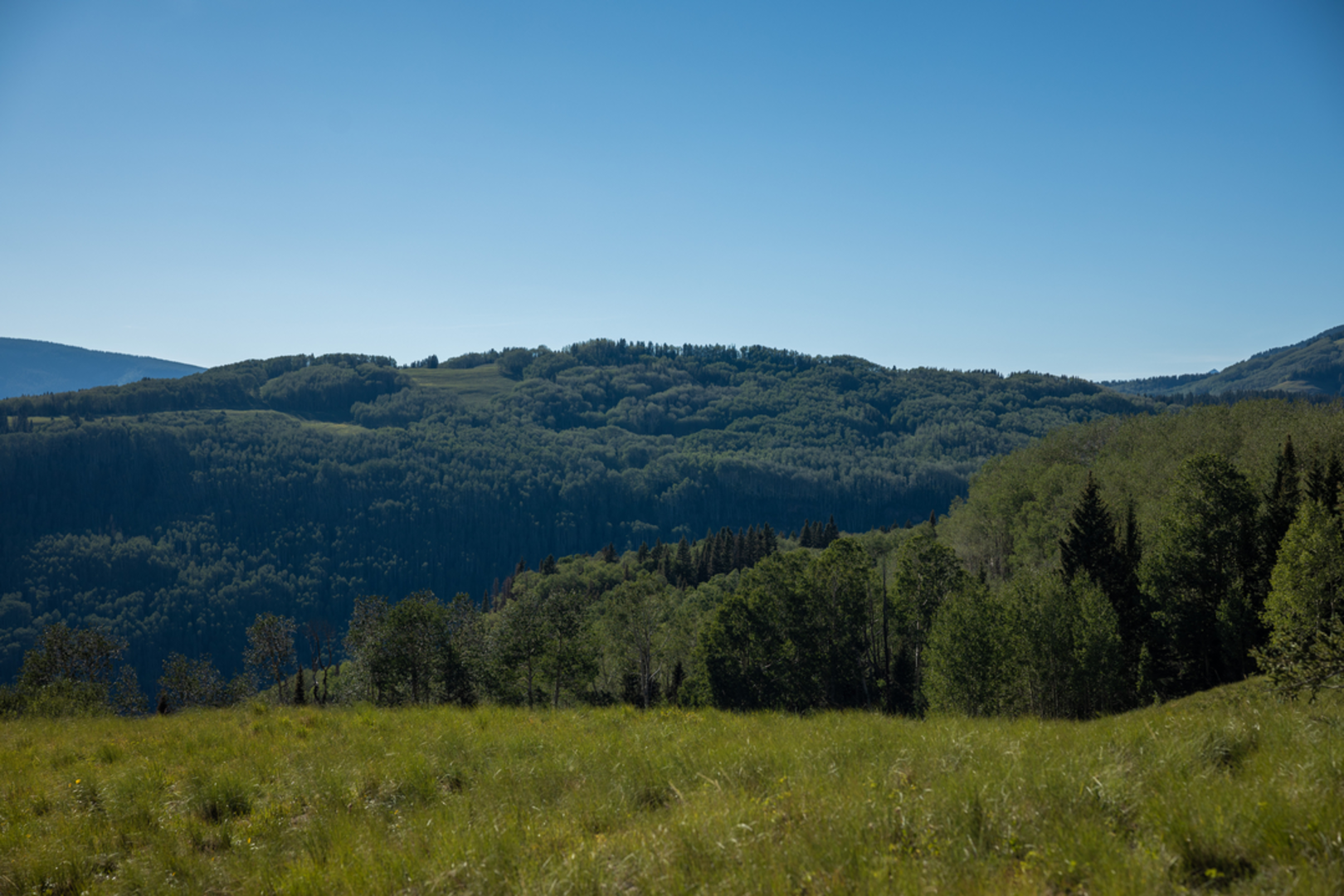 An image depicting the trail Woods Lake Trail and its surrounding area.