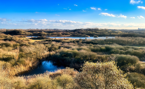 Boswachterij Gieten Borger Loop