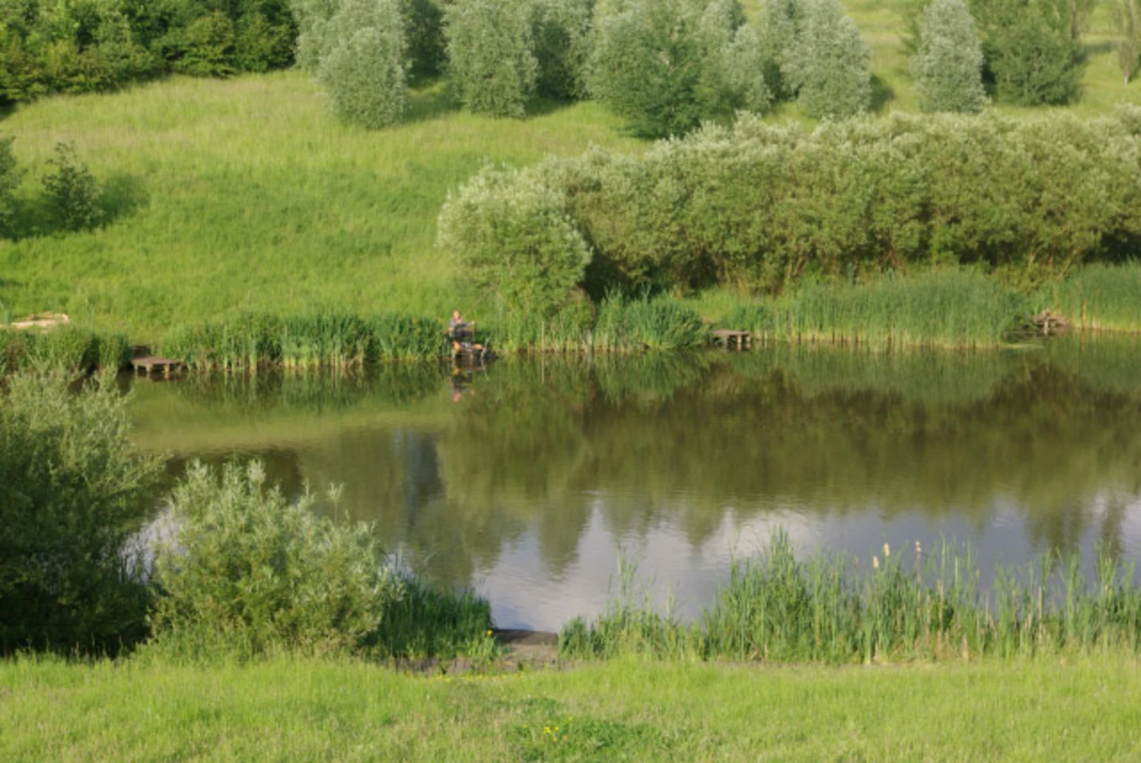 An image depicting the trail Blackmills Country Park and Blackmills Wood Loop and its surrounding area.