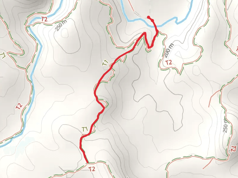 Whispering Pine Trail and White Connector 3