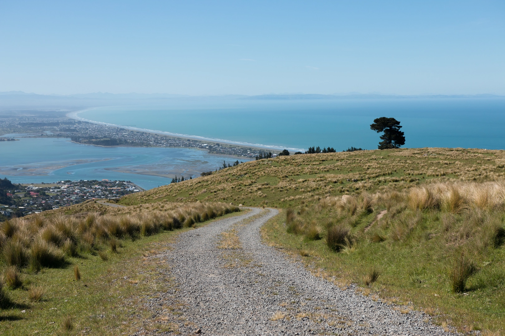 An image depicting the trail Pegasus Bay Walkway and its surrounding area.