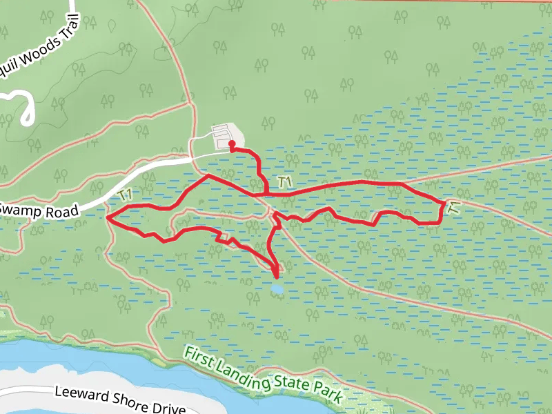Bald Cypress Trail Loop