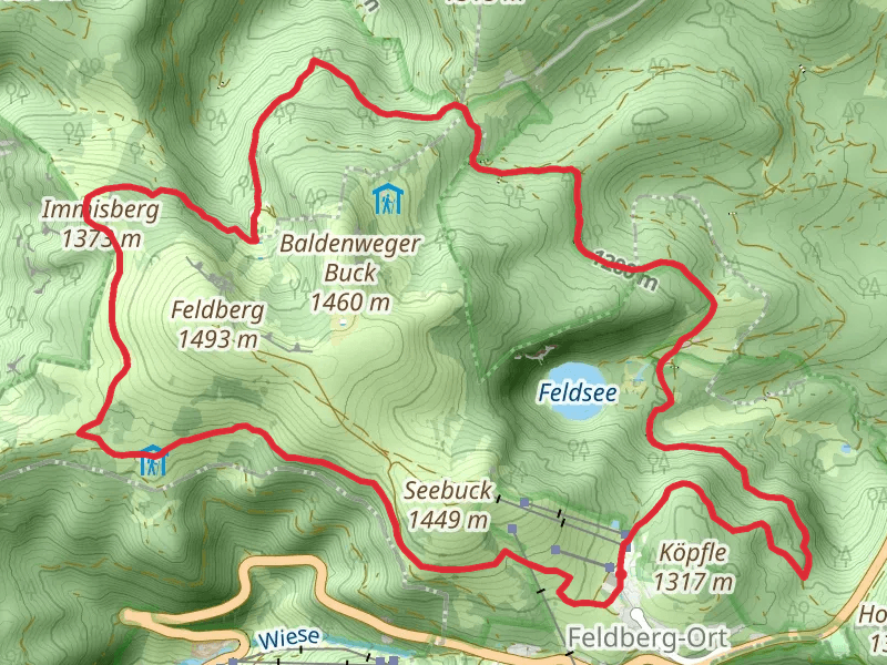 Immisberg and Feldseemoor Loop - Feldberg