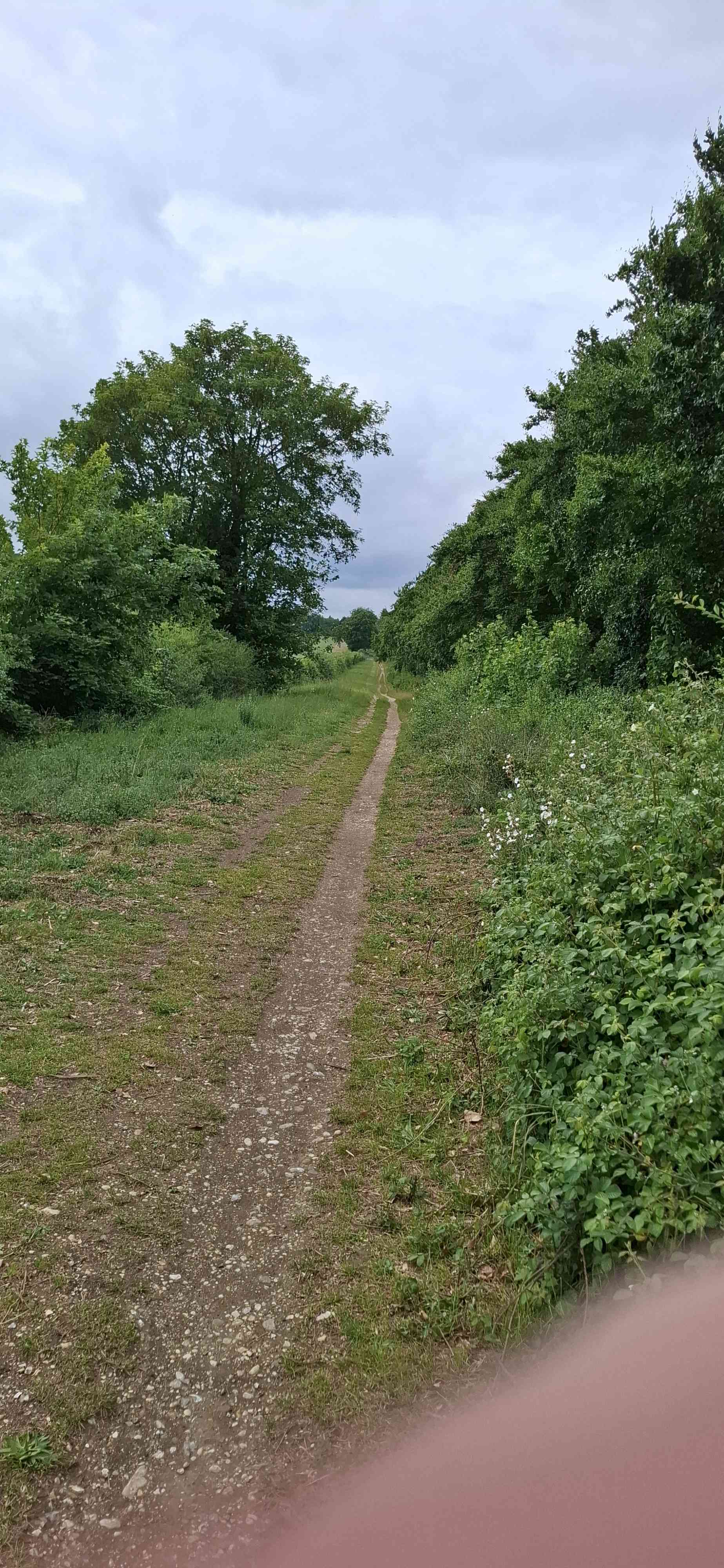 A map preview of the recording Hike on Fleam Dyke and Roman Road Walk.