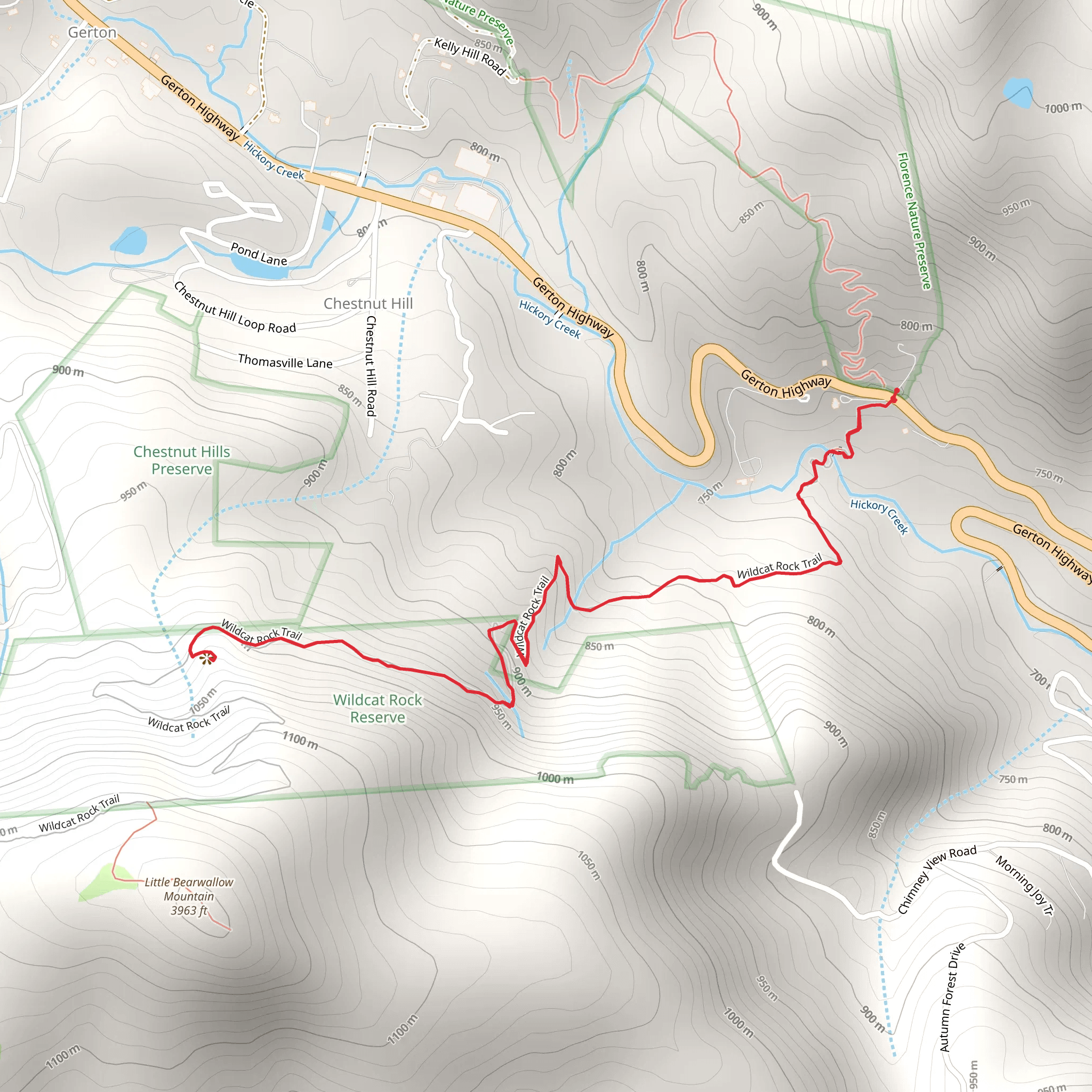 Wildcat Rock Trail - Short mobile static map