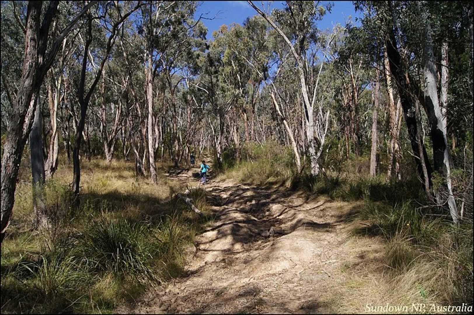 An image depicting the trail Red Rock Gorge Track and its surrounding area.