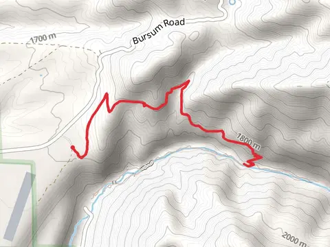 Gold Dust Trail Out and Back