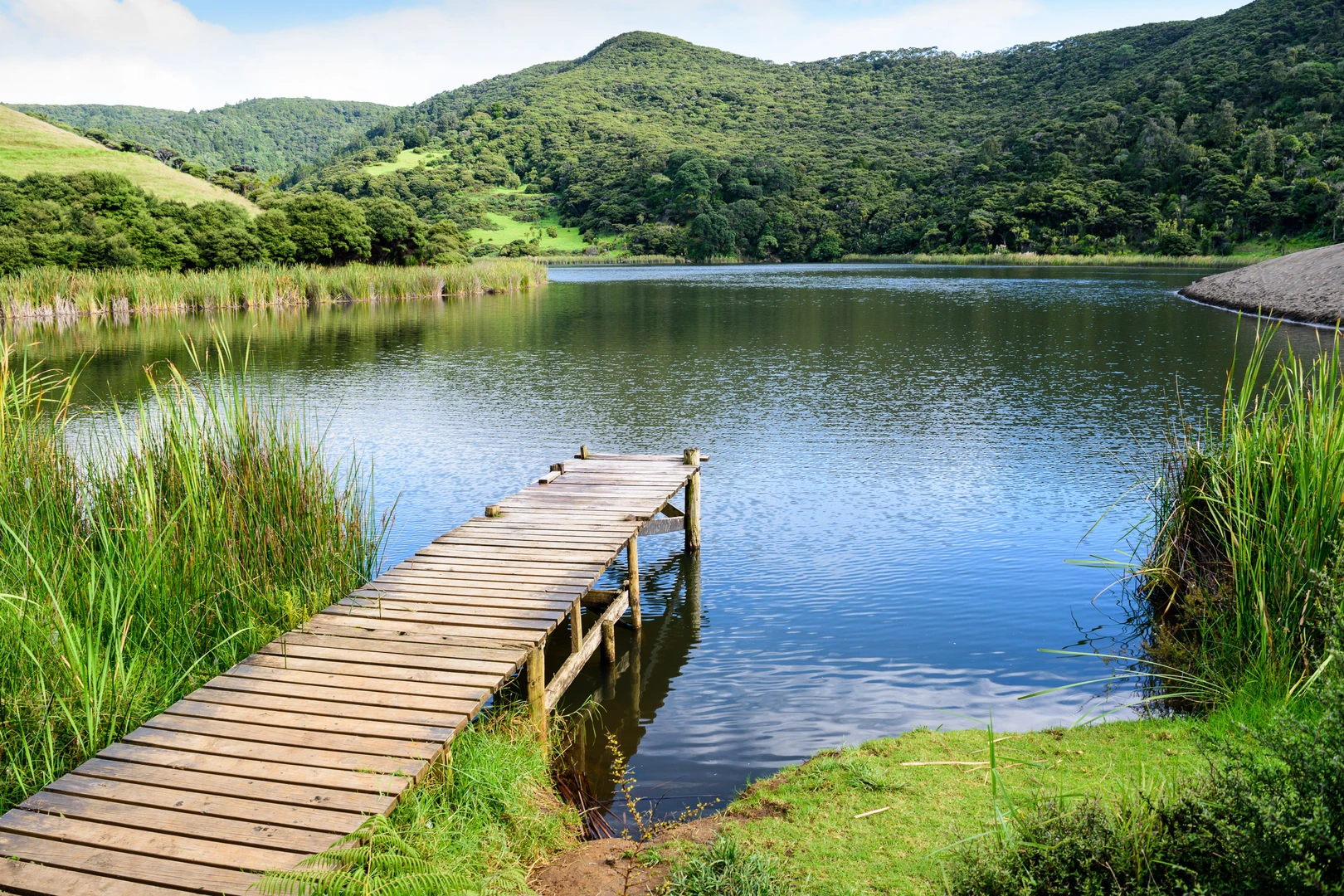 An image depicting the trail Lake Wainamu Track and its surrounding area.