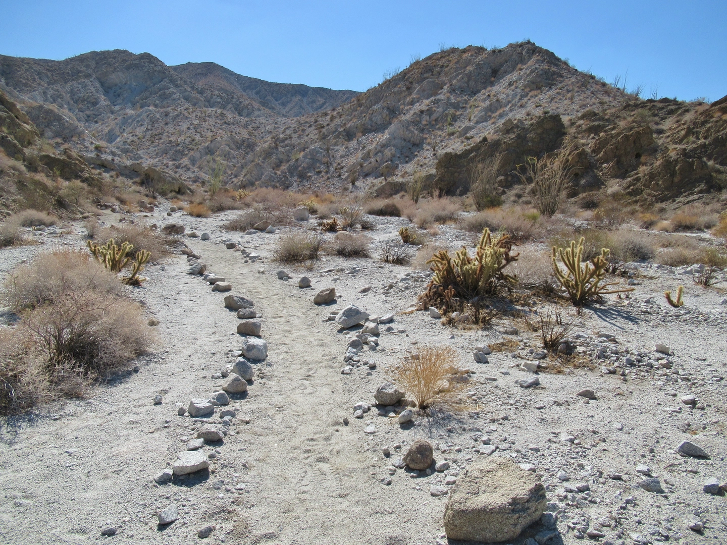 An image depicting the trail Narrows Earth Loop Trail and its surrounding area.