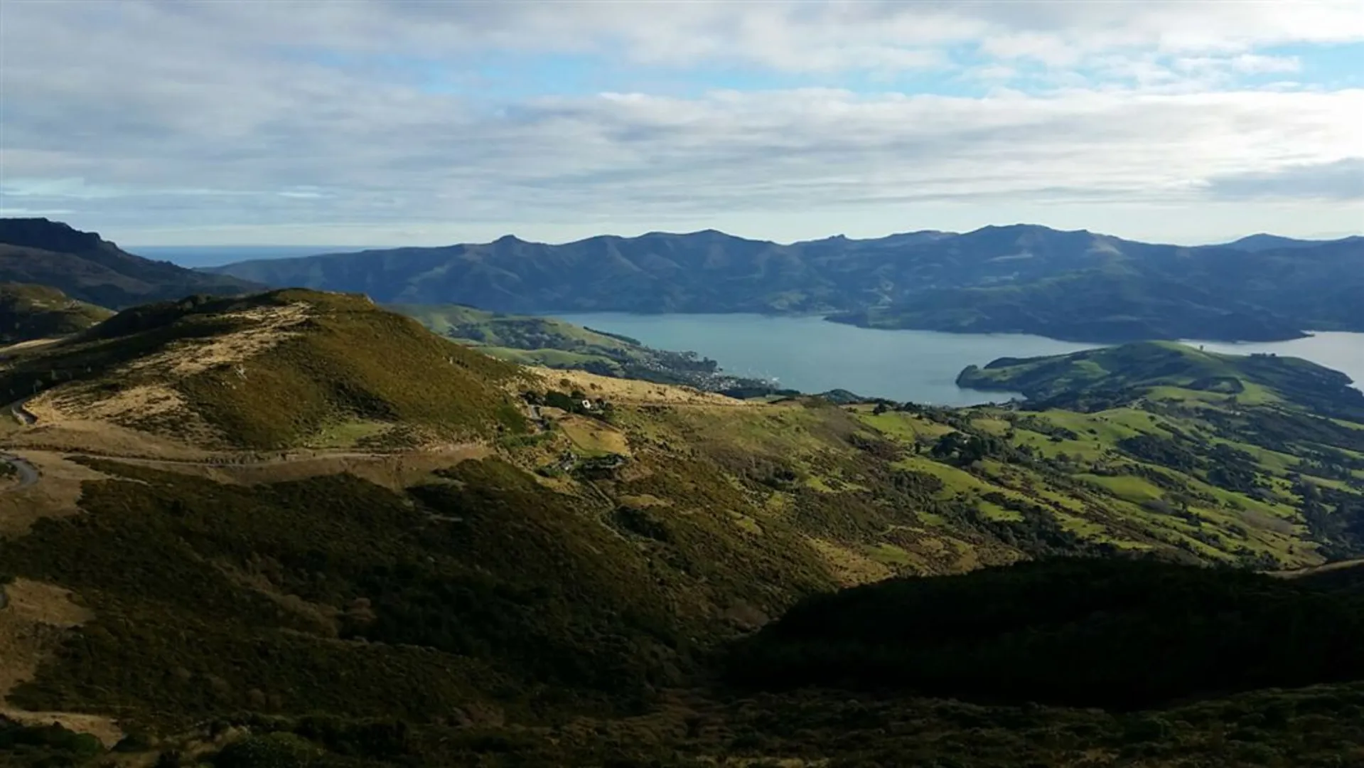 An image depicting the trail Ellangowan Scenic Reserve Walk and its surrounding area.