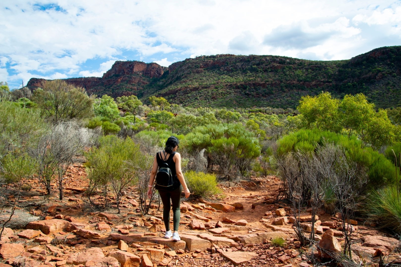 An image depicting the trail Arkaroo Rock Hike and its surrounding area.