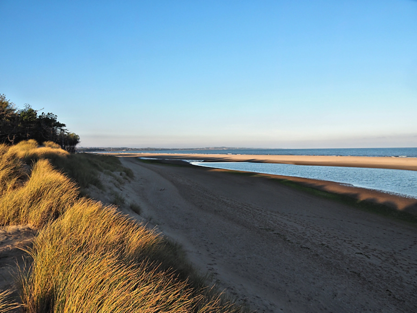 Raven Point Wood | County Wexford | Ireland