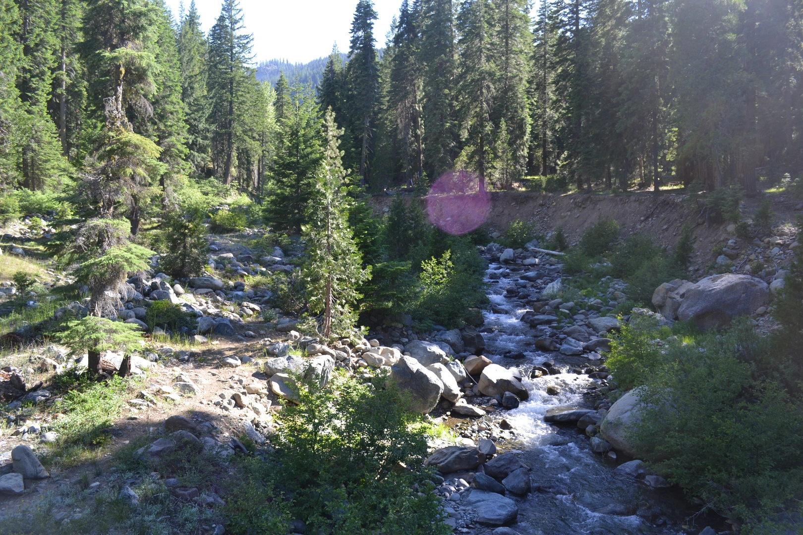 An image depicting the trail Union Creek Trail to Union Lake and its surrounding area.