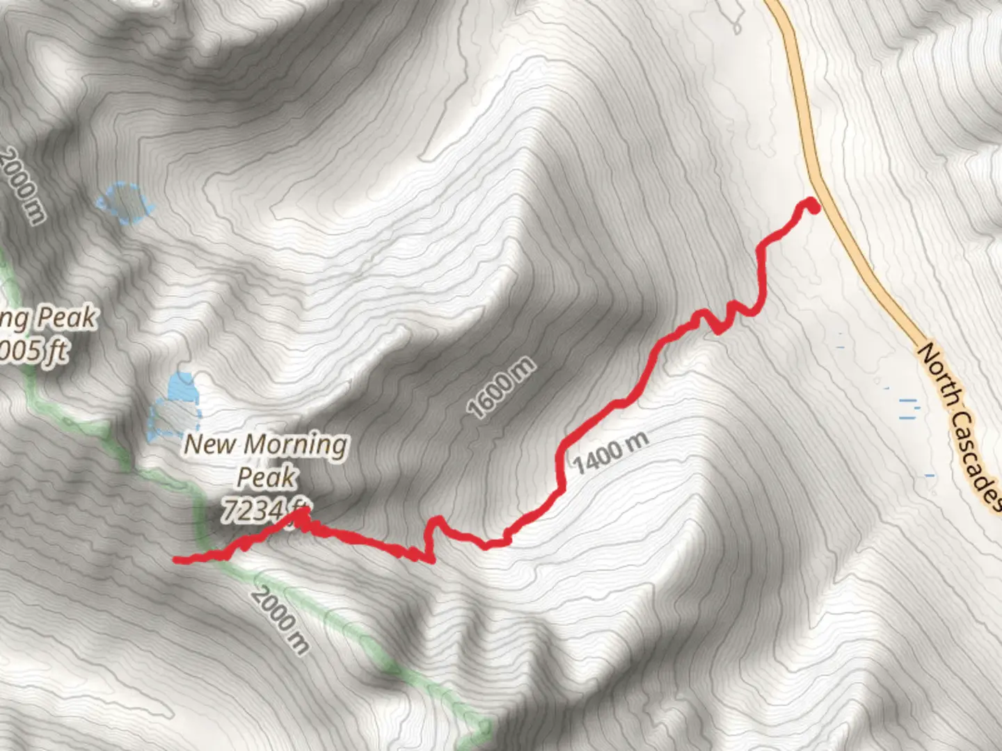 An image depicting the trail Easy Pass Trail and its surrounding area.