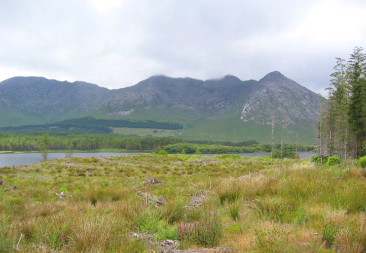 Binn Chorr North Top and An Bhinn Dubh Loop from Fountainhill