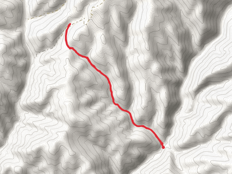 Doolittle Trail
