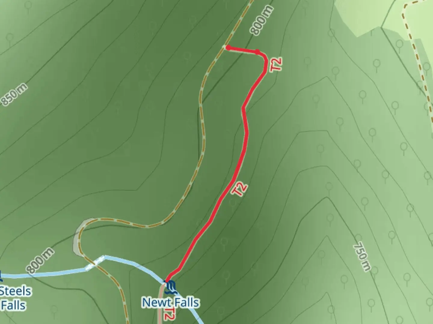 An image depicting the trail Steels Creek and its surrounding area.