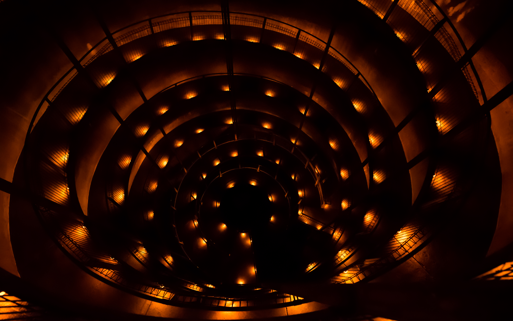 An image depicting the trail Ruakuri Tunnels Loop and its surrounding area.