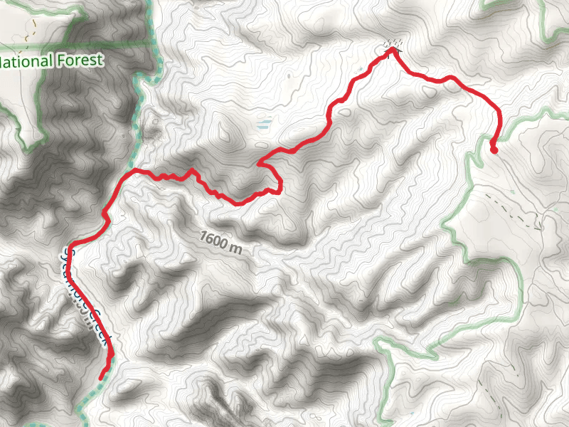Winter Cabin Trail