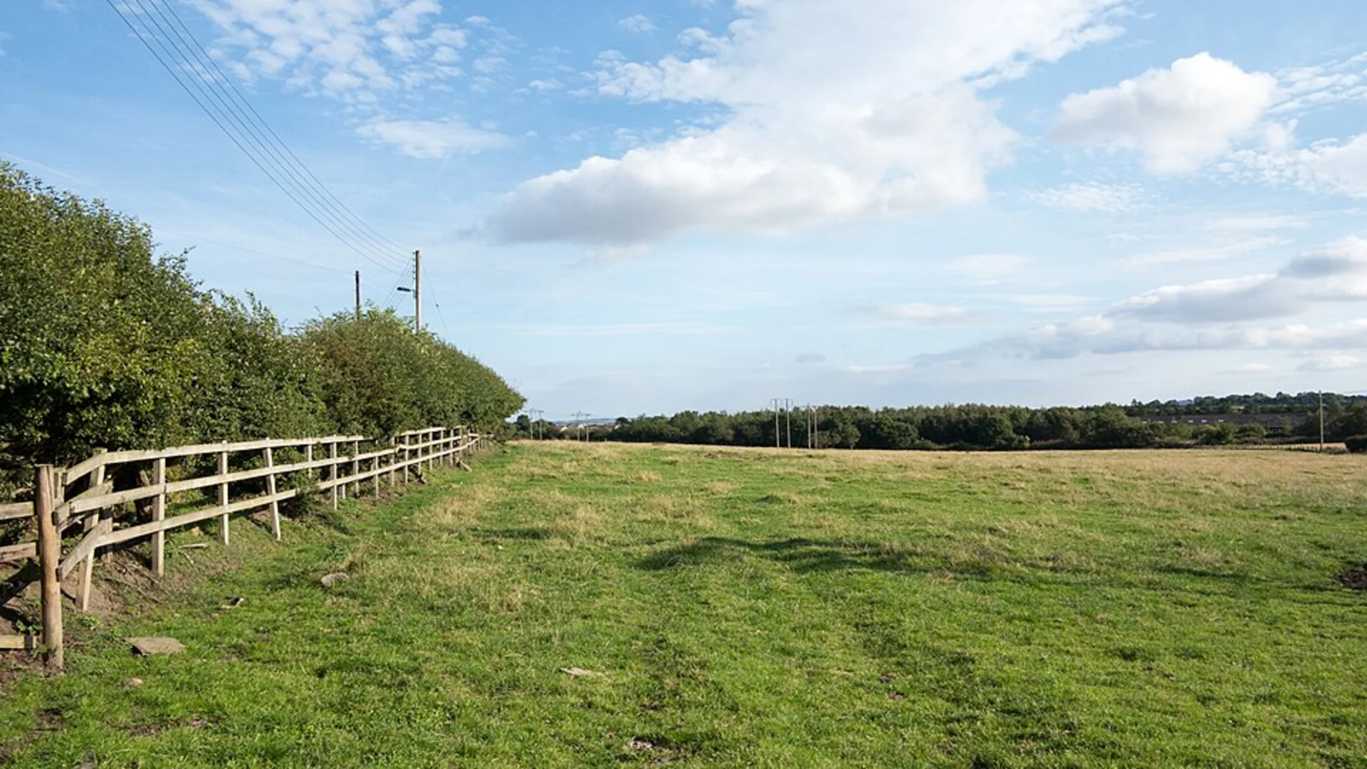 An image depicting the trail Pelton Country Park Loop and its surrounding area.