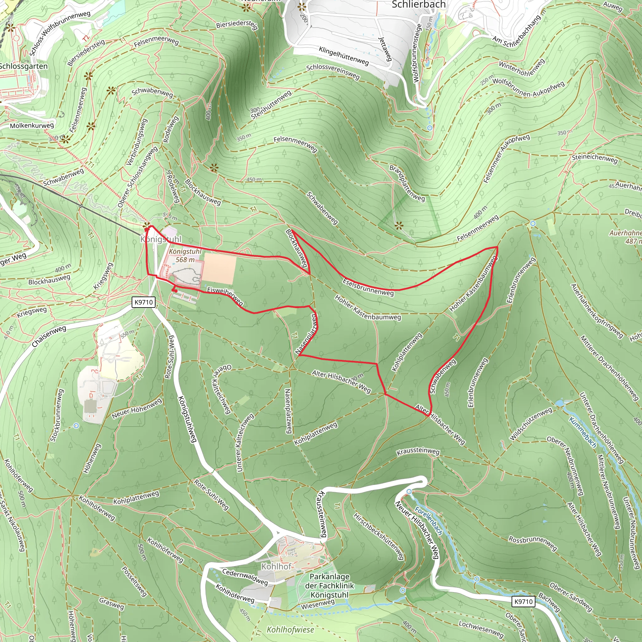 Walderlebnispfad and Koenigstuhl Loop mobile static map