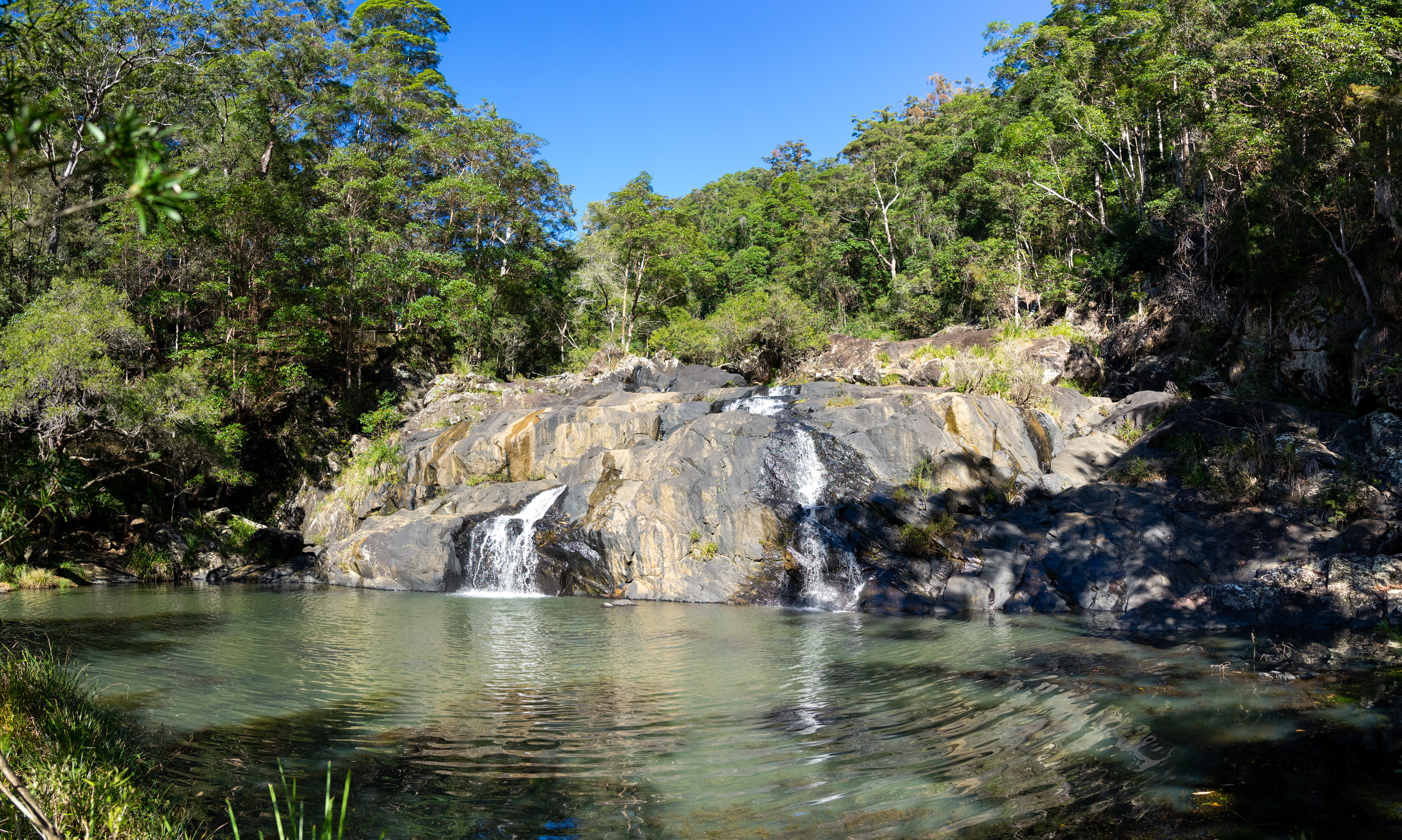 An image depicting the trail Conondale National Park and its surrounding area.