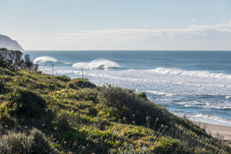 Wainui – Gibbs Hill – Tōtaranui