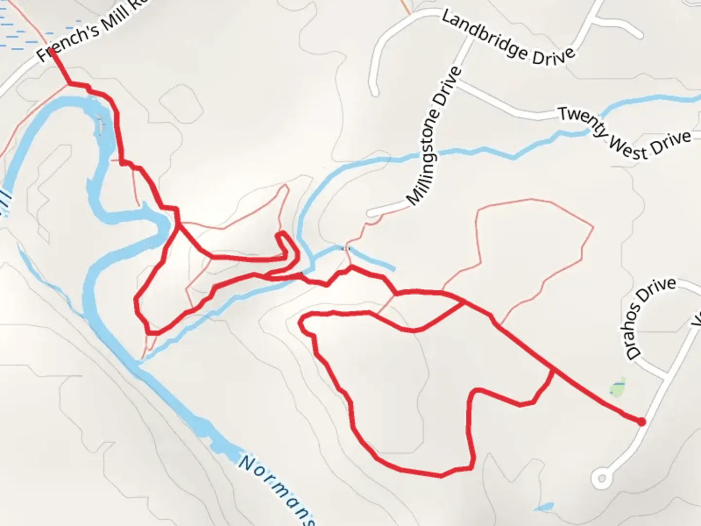 An image depicting the trail Trail along the Normans Kill and its surrounding area.
