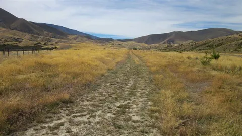 Long Acre Track