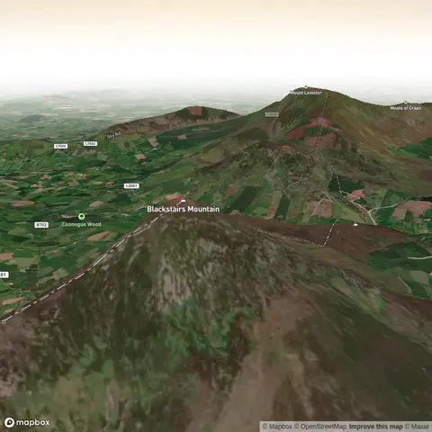 Blackstairs Ramble