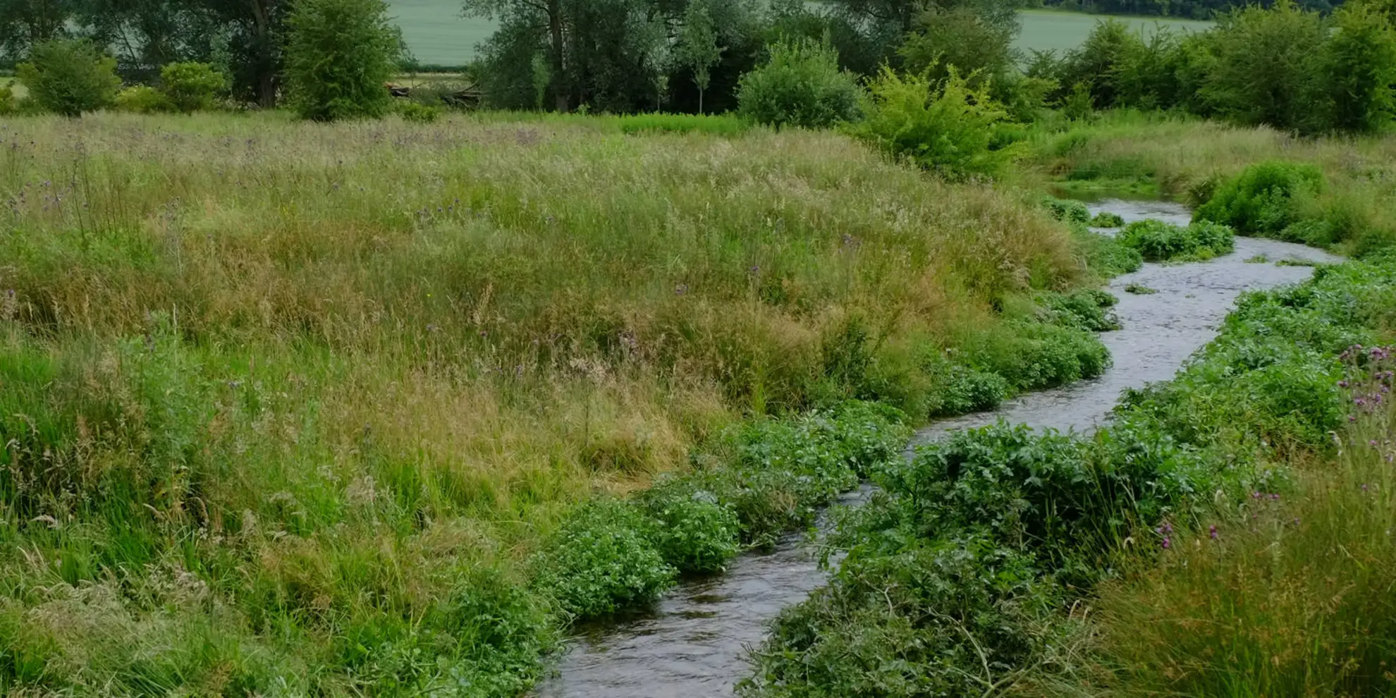 An image depicting the trail Mansions and Parklands from Great Gaddesden and its surrounding area.
