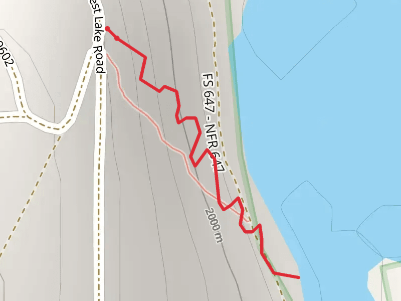 Forest Lake Trail