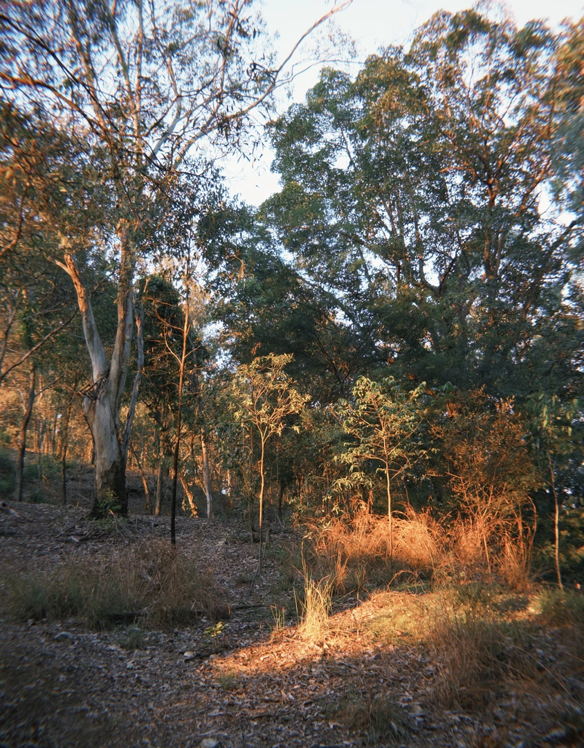An image depicting the trail Stephen Mountain Greenslopes and its surrounding area.