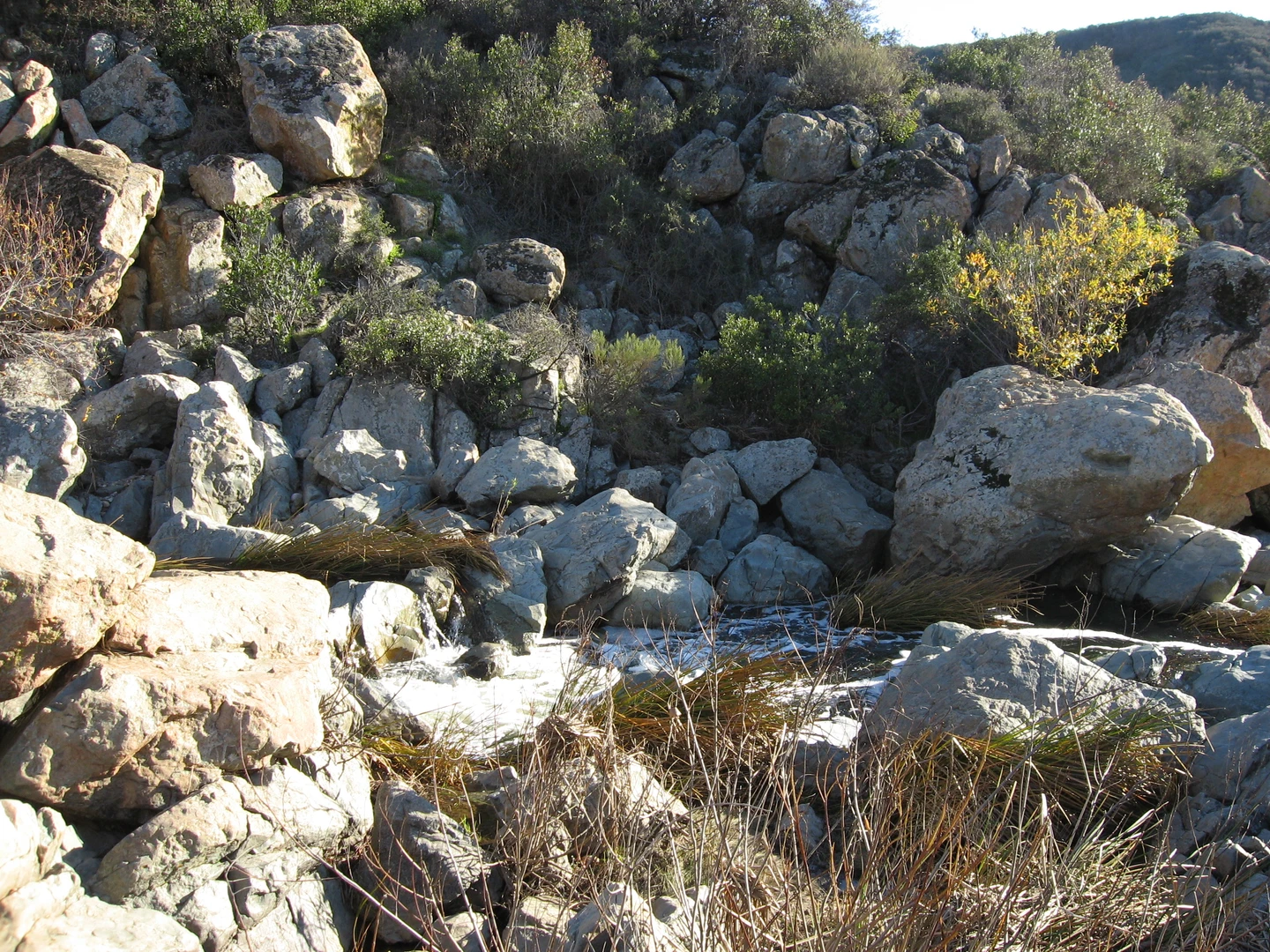 An image depicting the trail Peñasquitos Creek Loop and its surrounding area.