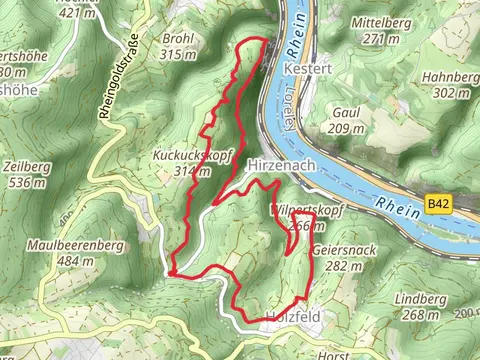 Wingertsberg, Ginsterstueck and Niederwald via Linkseheinischer Jakobsweg