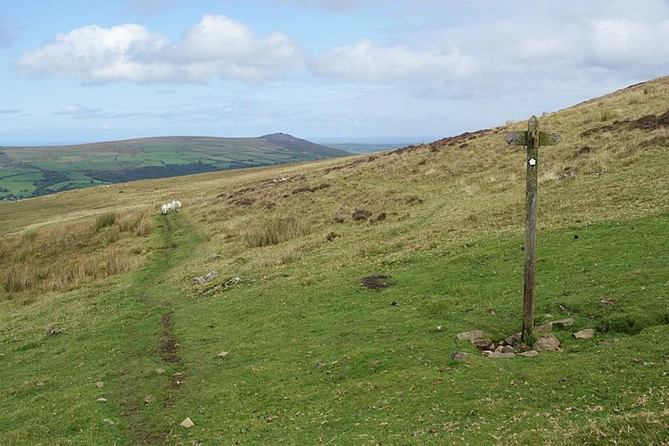 Foel Eryr Circular - Preseli Hills