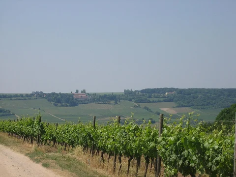 Landkirchen to Lemkenhafen and Lemkendorf Loop - Orther Bucht