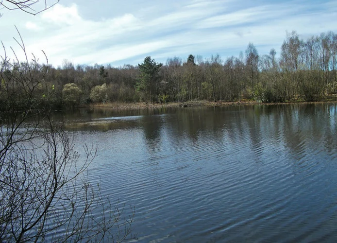 Mere Sands Wood Loop