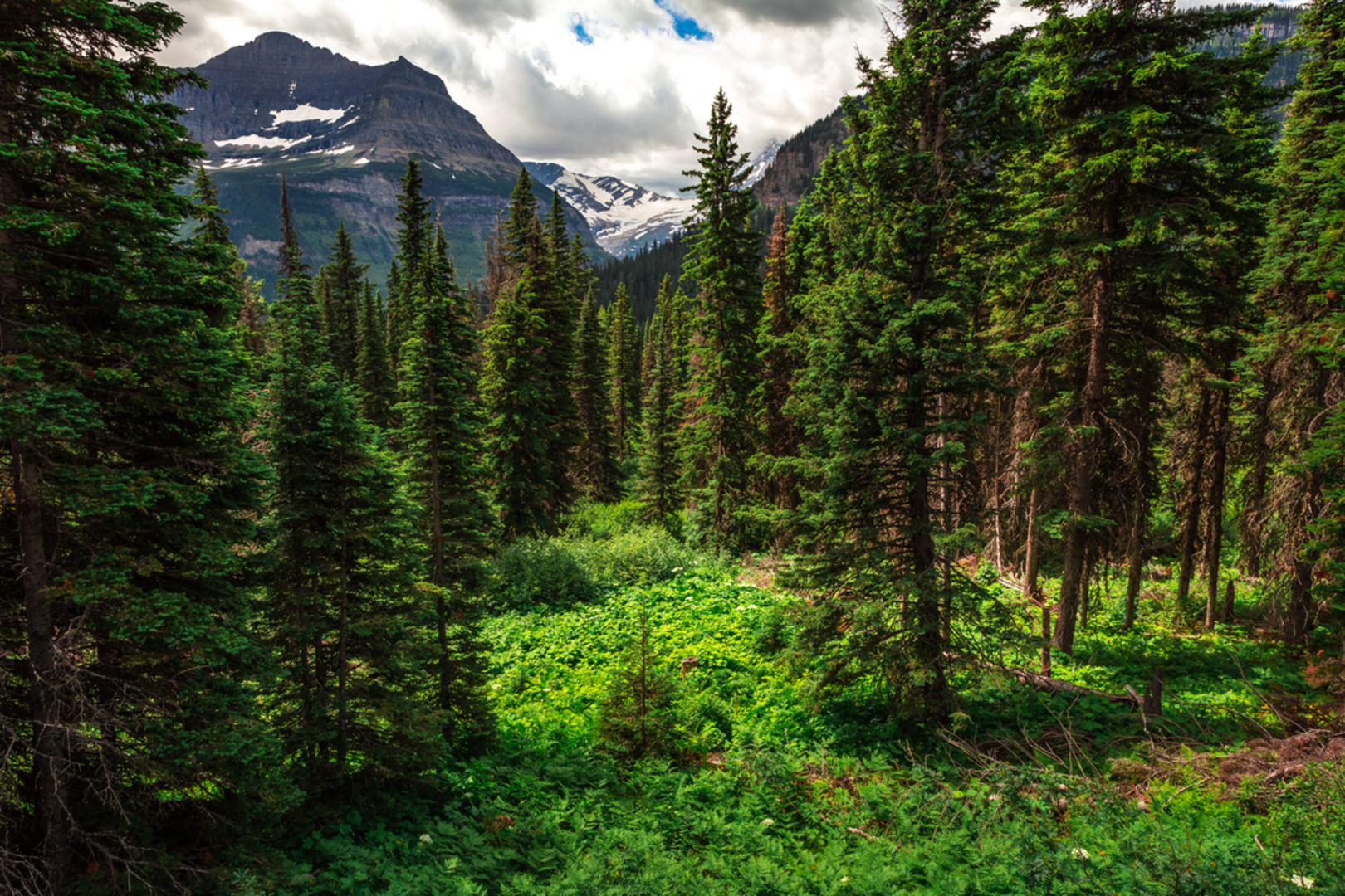 An image depicting the trail Gunsight Pass Trail and its surrounding area.