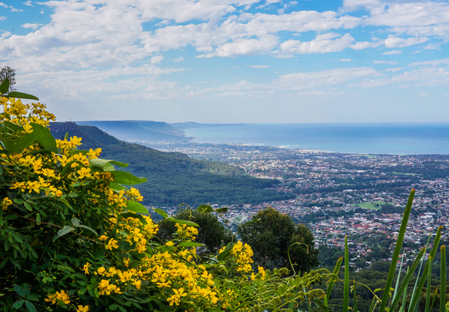 An image depicting the trail Mount Keira Ring Track and its surrounding area.