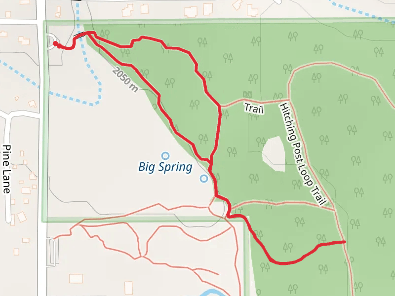 South Big Springs Connector Trail via Bog Springs Loop Trail