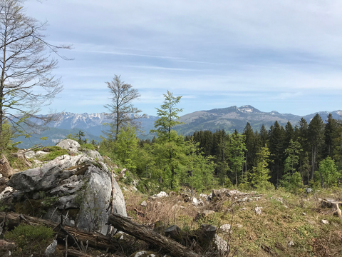 Hütteneckalm