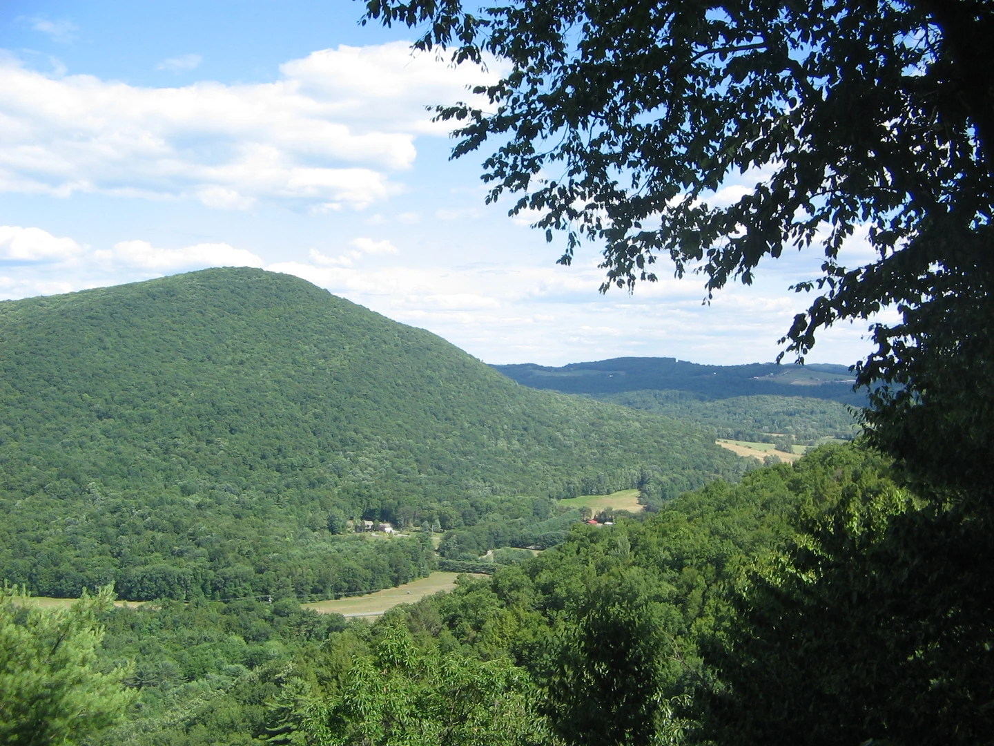 An image depicting the trail Caleb Creek Road Loop and its surrounding area.