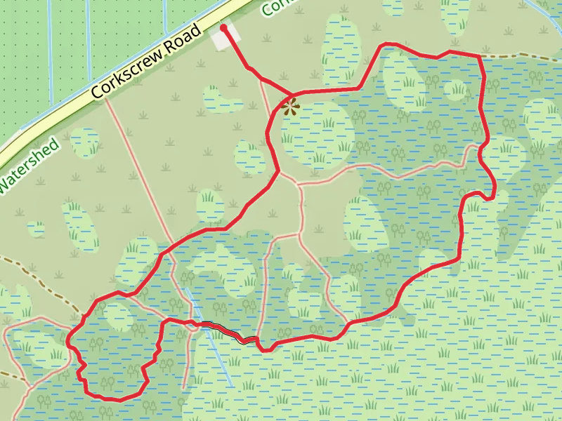 Corkscrew Road Loop