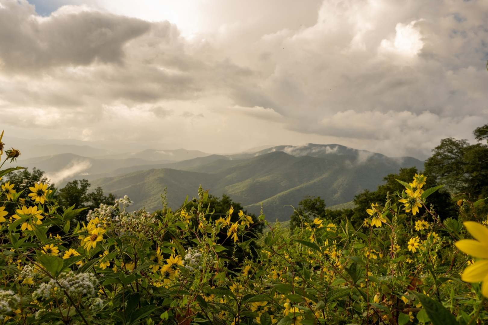 An image depicting the trail Balsam High Top Mountain Trail and its surrounding area.