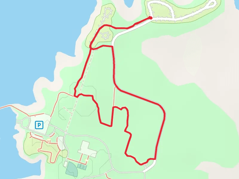 Owl Hollow and Green Jay Pass Loop