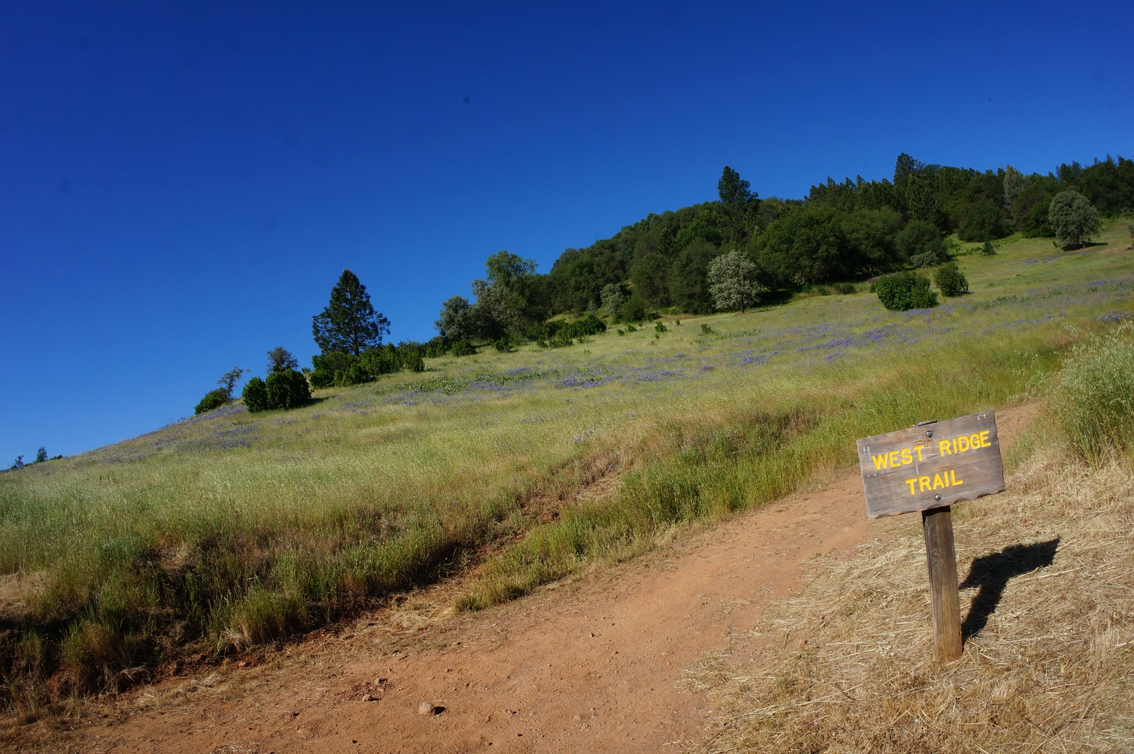 An image depicting the trail Down - Up Trail and Sky Ridge Trail and its surrounding area.