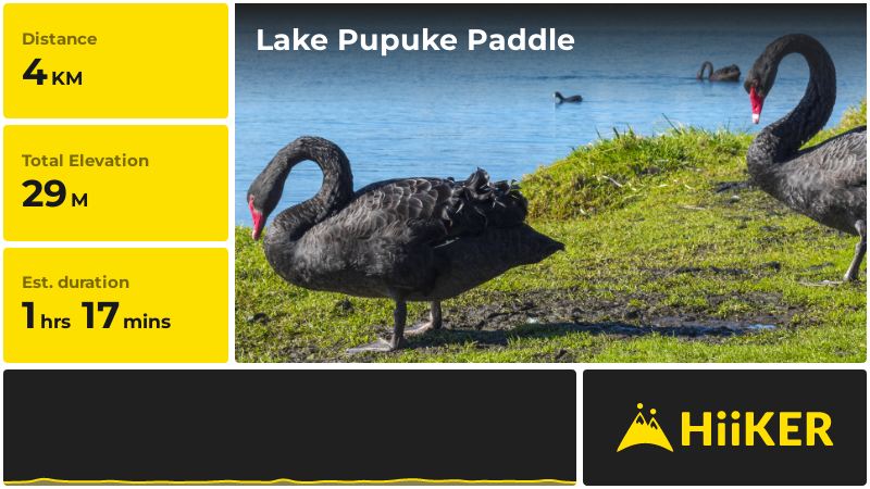 Lake Pupuke Paddle | Auckland | New Zealand